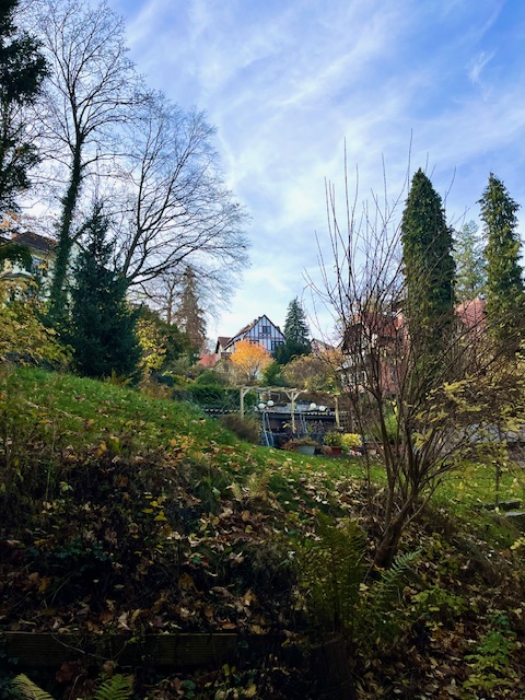 Teil Garten Wohnung Eisenach
